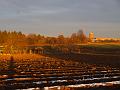 58-Spaziergang-20081130