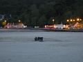 0154 - IMG_0068