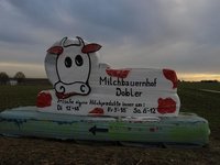 49-Spaziergang-20081130.JPG