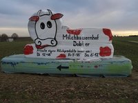 51-Spaziergang-20081130.JPG